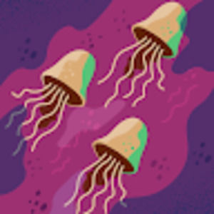 Meet your Posher, Meg